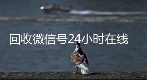 回收微信号24小回收微信号官网时在线秒结（回收微信号网站）